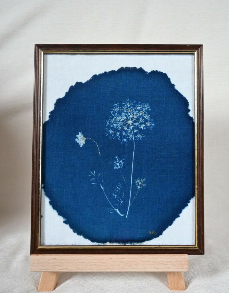 Cadre Cyanotype - Carotte sauvage