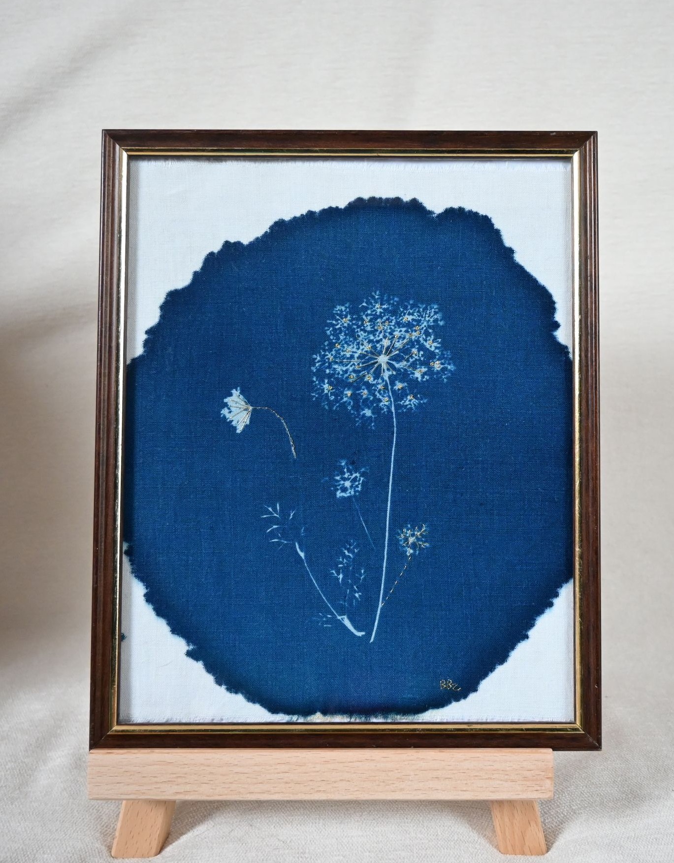 Cadre Cyanotype - Carotte sauvage