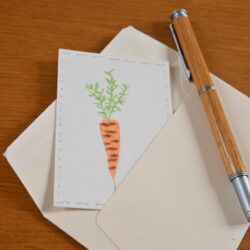 Broderie d'une carotte sur organza de soie cannetille orange